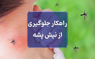 راهکارهای جلوگیری از نیش پشه | روش‌های مؤثر و خانگی پیشگیری از پشه‌گزیدگی