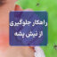 راهکارهای جلوگیری از نیش پشه | روش‌های مؤثر و خانگی پیشگیری از پشه‌گزیدگی