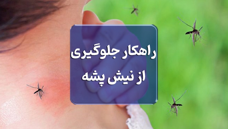 راهکارهای جلوگیری از نیش پشه | روش‌های مؤثر و خانگی پیشگیری از پشه‌گزیدگی